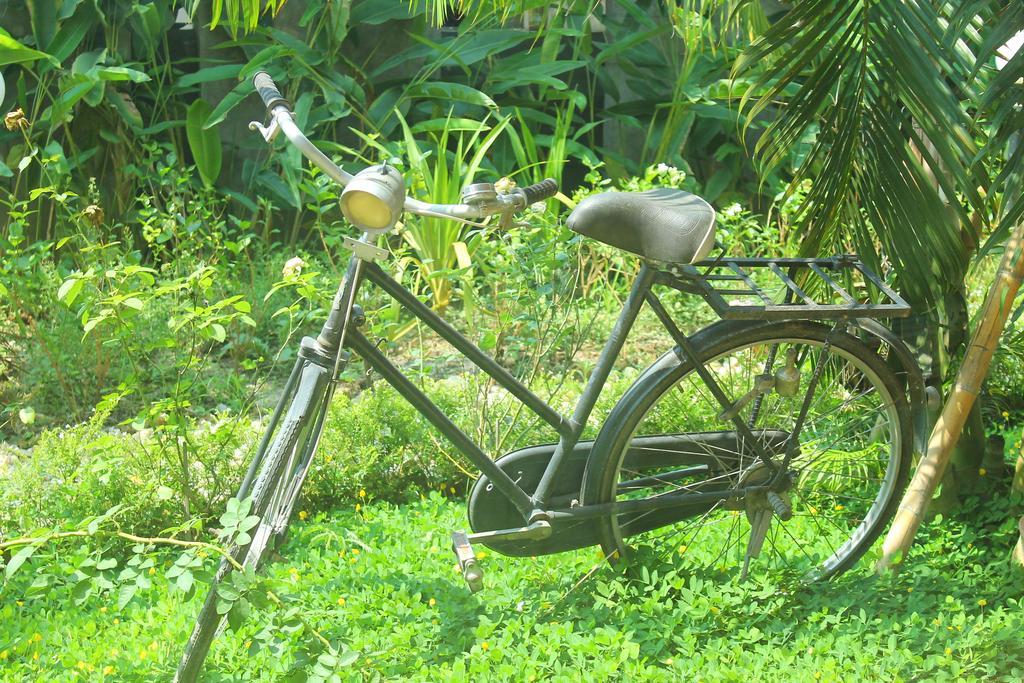 Fullhouse Resort Mae Suai Chambre photo